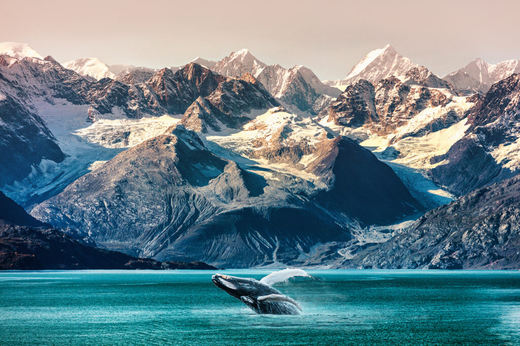 Alaska-whale-watching-boat-excursion.-Inside-passage-mountain-range-landscape-luxury-travel