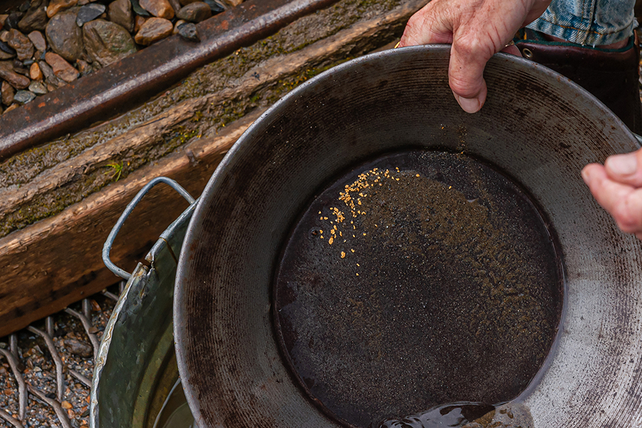 Fox, Alaska, USA Eldorado Gold Mine museum and park. Hand shows pan with gold dust particles left over after swirling and washing
